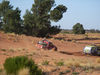 OBC08Sue_419.jpg