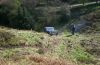 2002-04-07_bradfield_45.jpg