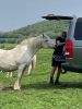 Filename=65446e60-7ec0-4a2d-aae8-b79893d8628e.jpeg
Filesize=478KiB
Dimensions=1200x1600
Date added=Jun 02, 2024 65446e60-7ec0-4a2d-aae8-b79893d8628e.jpeg