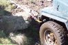 100_3983.JPG