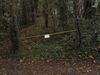 Filename=Brotherton_9_10_11_010.jpg
Filesize=858KiB
Dimensions=2030x1523
Date added=Oct 10, 2011 Brotherton_9_10_11_010.jpg