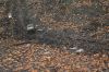 Filename=DSC_0155~0.JPG
Filesize=863KiB
Dimensions=1500x997
Date added=Oct 28, 2024 DSC_0155~0.JPG