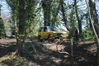 DSC_1256.JPG