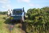 Filename=DSC_6110.JPG
Filesize=836KiB
Dimensions=1600x1063
Date added=Aug 27, 2014 DSC_6110.JPG