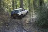 DSC_7180.JPG