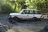 DSC_7194.JPG
