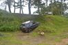 DSC_8613.JPG