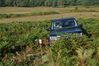 DSC_9709.JPG