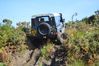 DSC_9847.JPG