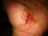 Filename=cut.JPG
Filesize=102KiB
Dimensions=640x478
Date added=Mar 04, 2011 cut.JPG