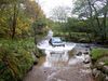 Filename=omm2010_Ford.JPG
Filesize=148KiB
Dimensions=800x600
Date added=Nov 02, 2010 omm2010_Ford.JPG