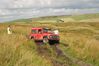 DSC_3190.JPG
