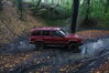 Filename=0021.JPG
Filesize=154KiB
Dimensions=960x640
Date added=Nov 02, 2022 0021.JPG