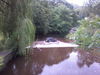 Filename=Photo0221.jpg
Filesize=570KiB
Dimensions=1600x1200
Date added=Aug 30, 2011 Photo0221.jpg
