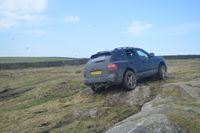 DSC_0350.JPG