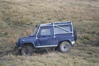 DSC_0353.JPG