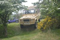 DSC_0928.JPG