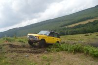 DSC_1416.JPG