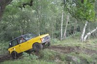DSC_1500.JPG