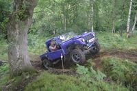 DSC_1503.JPG